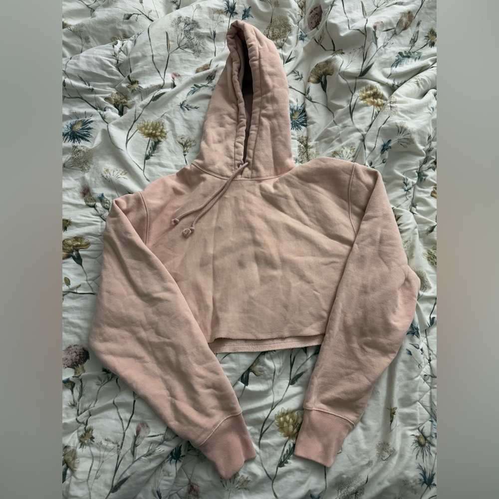 Champion Crop Hoodie